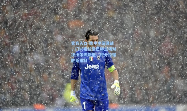 官方入口-德甲中游激战，门兴格拉德巴赫主场对决沃尔夫斯堡，积分拉锯胜负难料