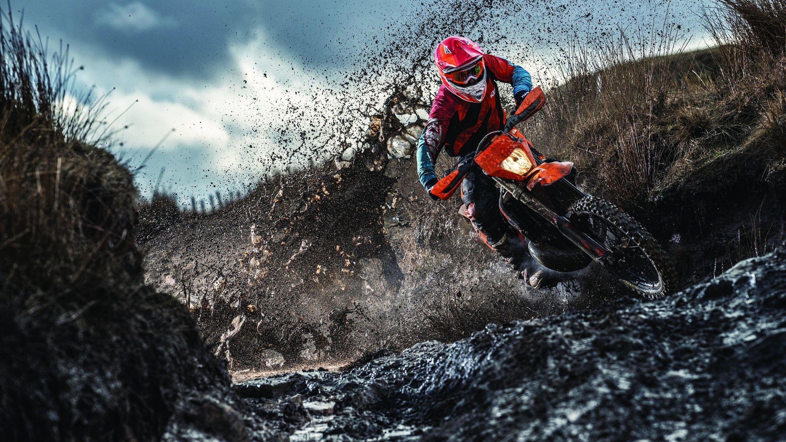 双重漩涡,罗兹维泽夫的召唤与希维德尔斯基的十字路口